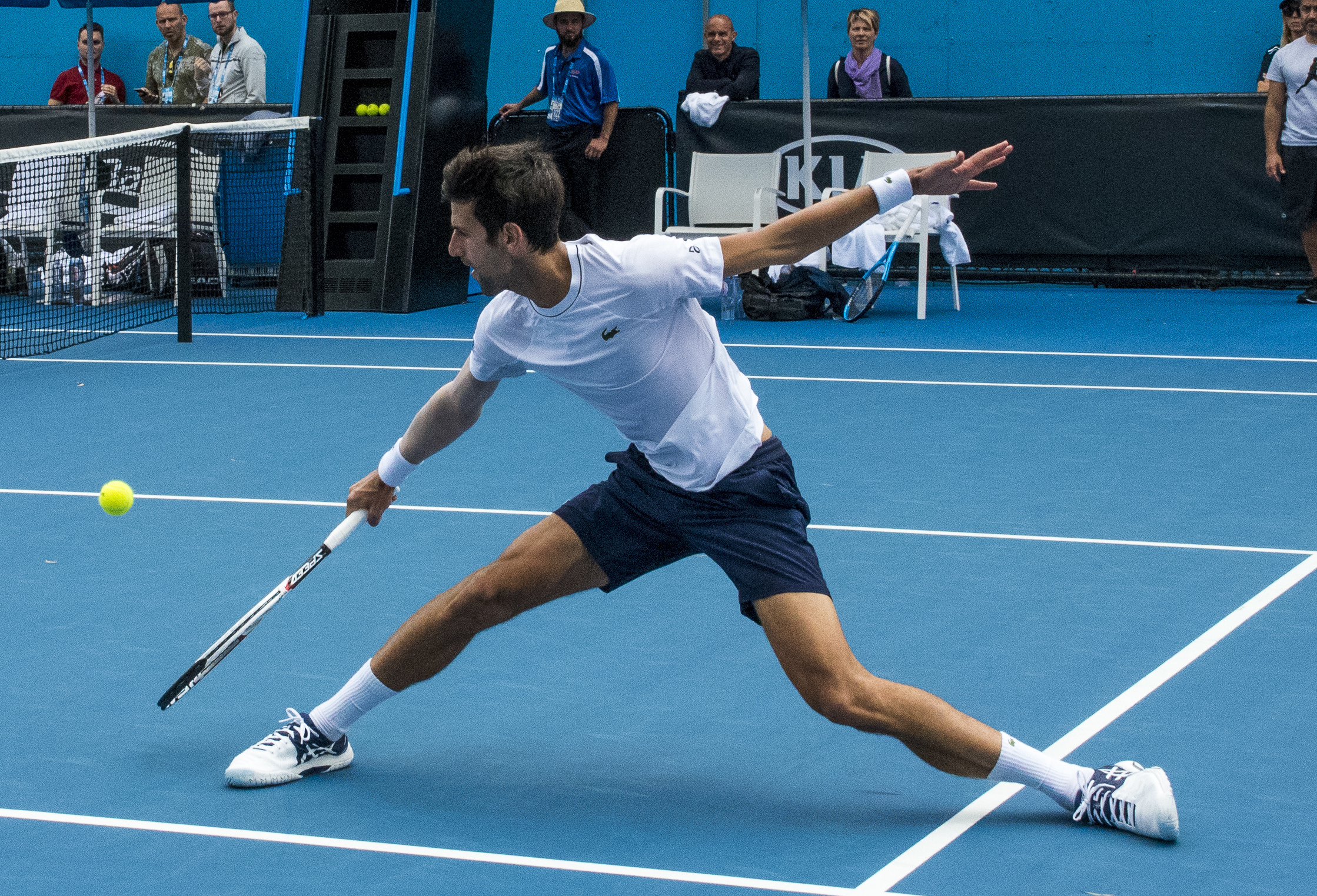 Novak Djokovic-Tennis in 2024