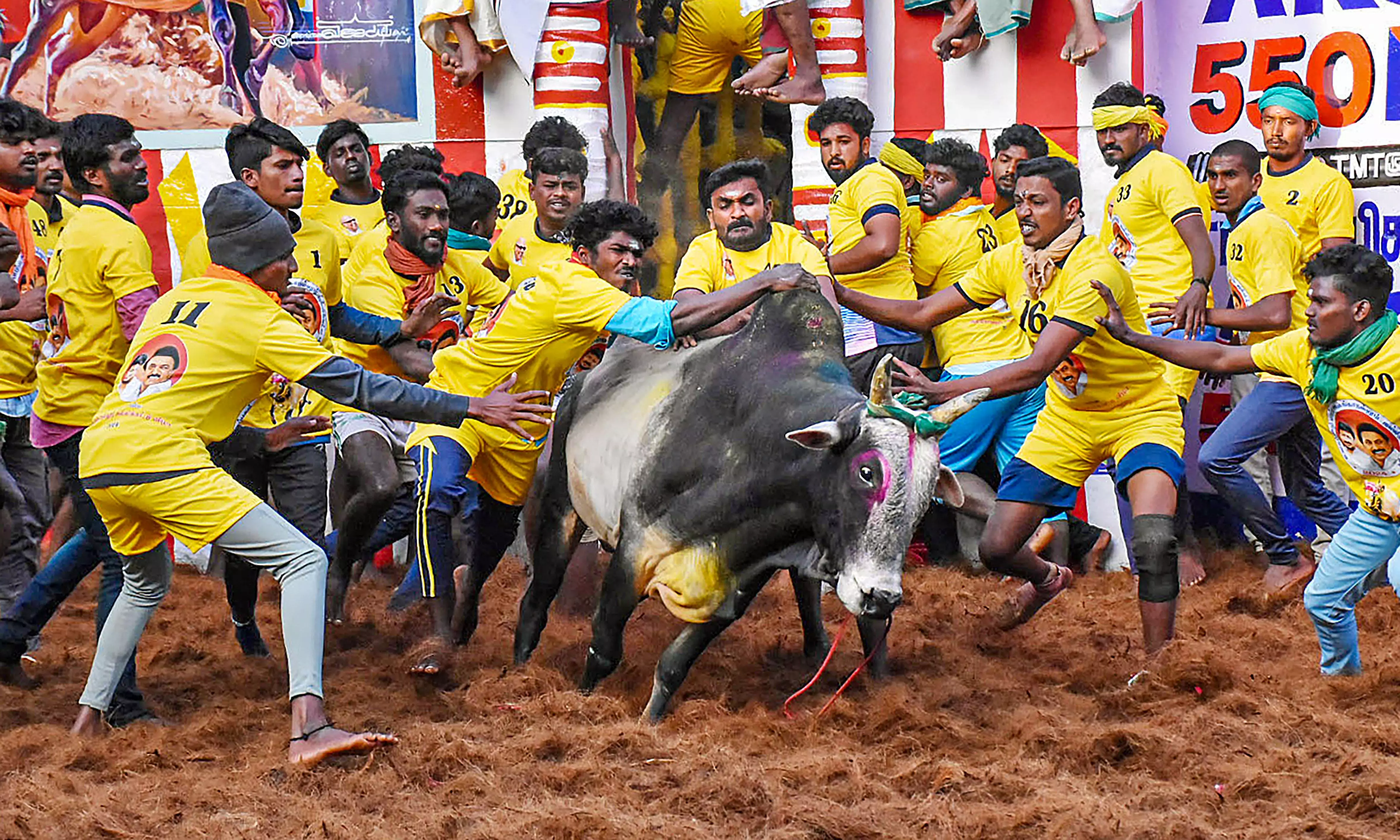 Two individuals fatally gored during a bull-taming event in Tamil Nadu