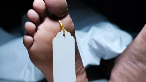 dead body
