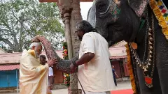 Modis benign Hindutva face in TN, latest bid to break electoral ice