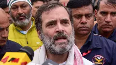 Rahul Gandhis car window pane smashed due to sudden braking: Congress