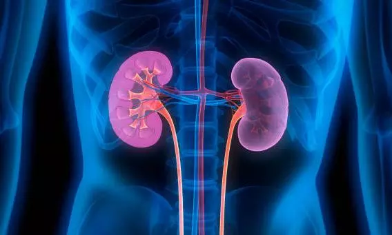 Seven common habits that could be giving you kidney trouble