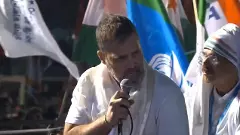 Lead fight against injustice nationwide: Rahul Gandhi urges the Bengali community