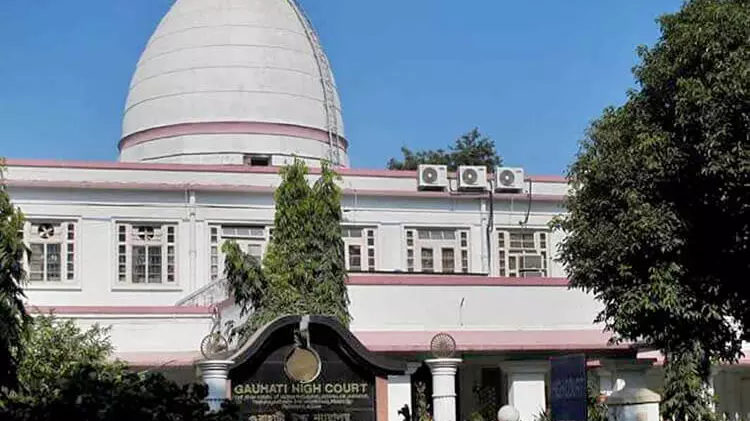 PETA appeals to Gauhati HC for ban on buffalo, Bulbul fights in Assam; Hearing set for Feb 1