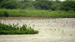 5 more Indian wetlands added to Ramsar list; 3 in Karnataka, 2 in TN