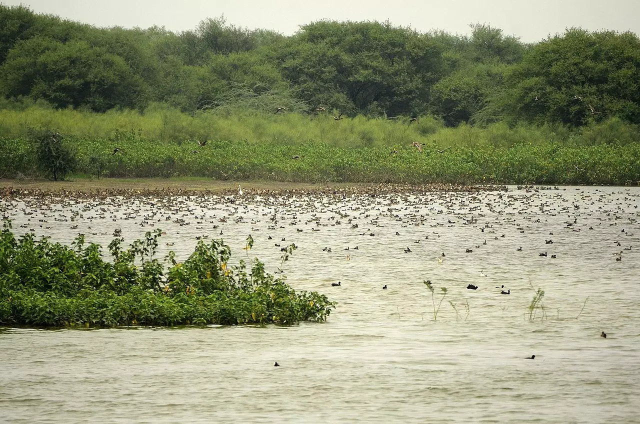 5 more Indian wetlands added to Ramsar list; 3 in Karnataka, 2 in TN