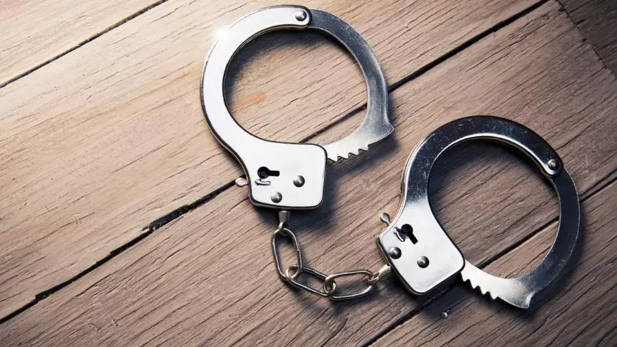 NIA, Tamil Nadu, Arrest, Ansarulla terror gang, Terror, the federal, english news website, Unlawful Activities (Prevention) Act