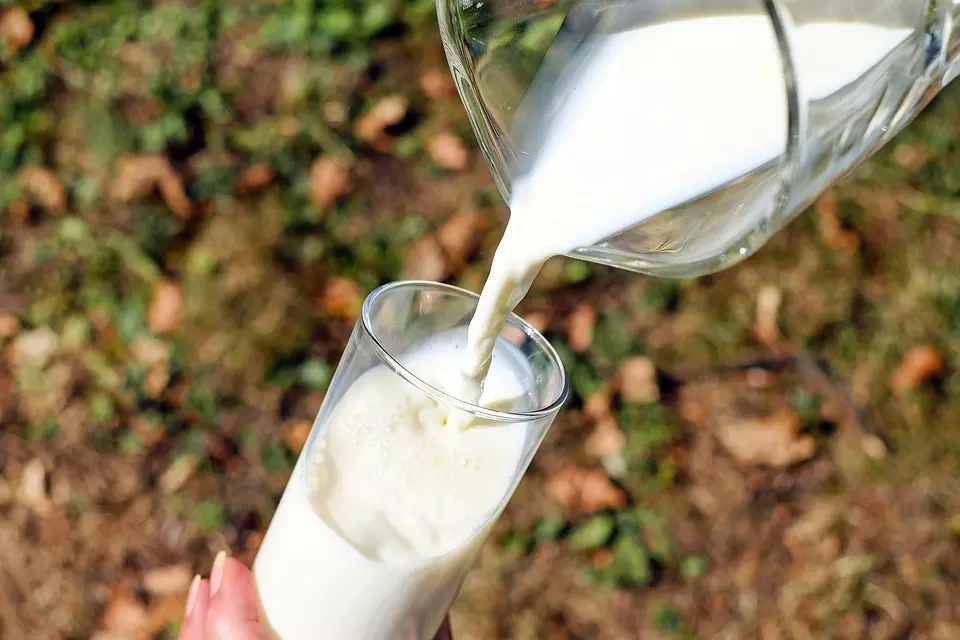 FM announces plans to increase milk, dairy production
