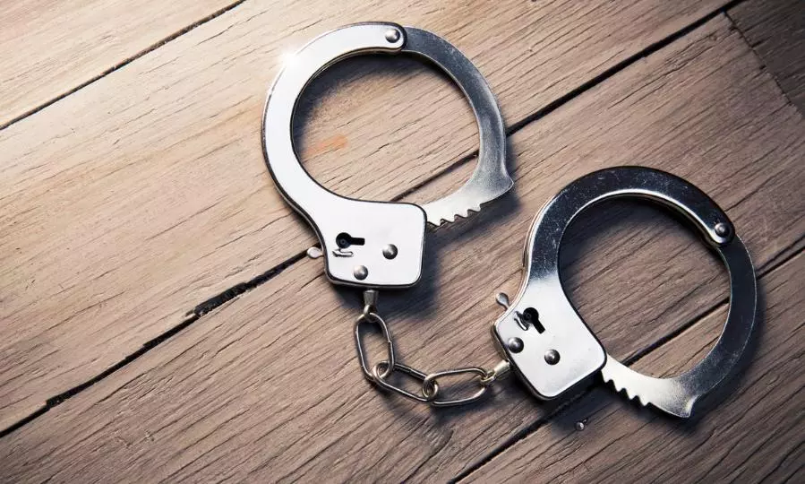 NIA, Tamil Nadu, Arrest, Ansarulla terror gang, Terror, the federal, english news website, Unlawful Activities (Prevention) Act