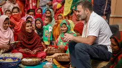 I want leaders who are like Himanta and Milind Deora to leave Cong: Rahul Gandhi