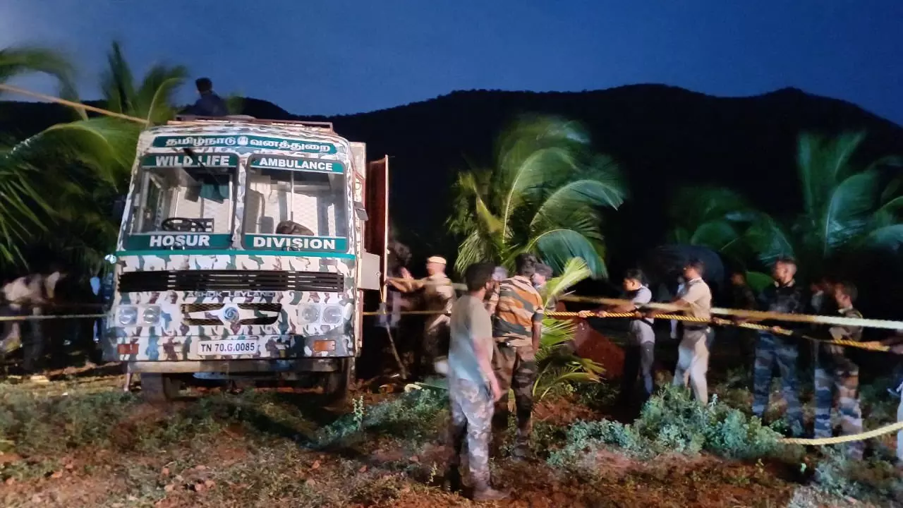 Arikomban, wild tusker, TN, Supriya Sahu, Forest Department, tranquillised