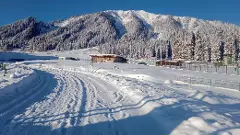 Heavy snowfall in valley disrupts flights to and from Kashmir