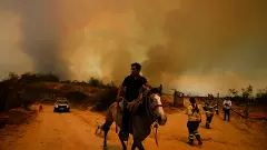 Chile wildfires ravage neighbourhoods, leave 123 dead even as hundreds go missing
