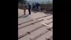 Those who put nails in farmers’ path not worthy of trust, uproot them from Delhi: Rahul