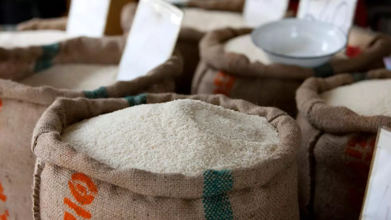 Govt unveils first genome-edited rice varieties; yield may rise by 30 pc