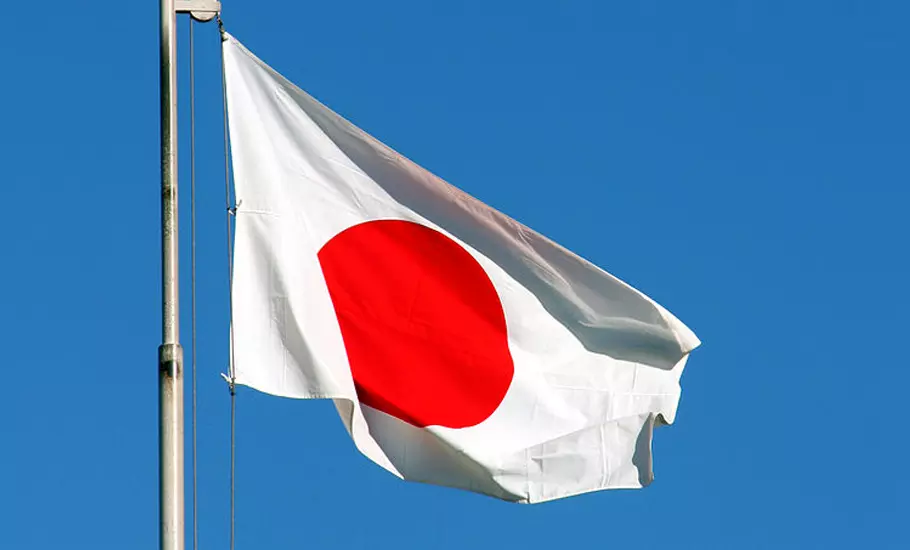 Japan slips to worlds fourth-largest economy, behind the US, China and now Germany