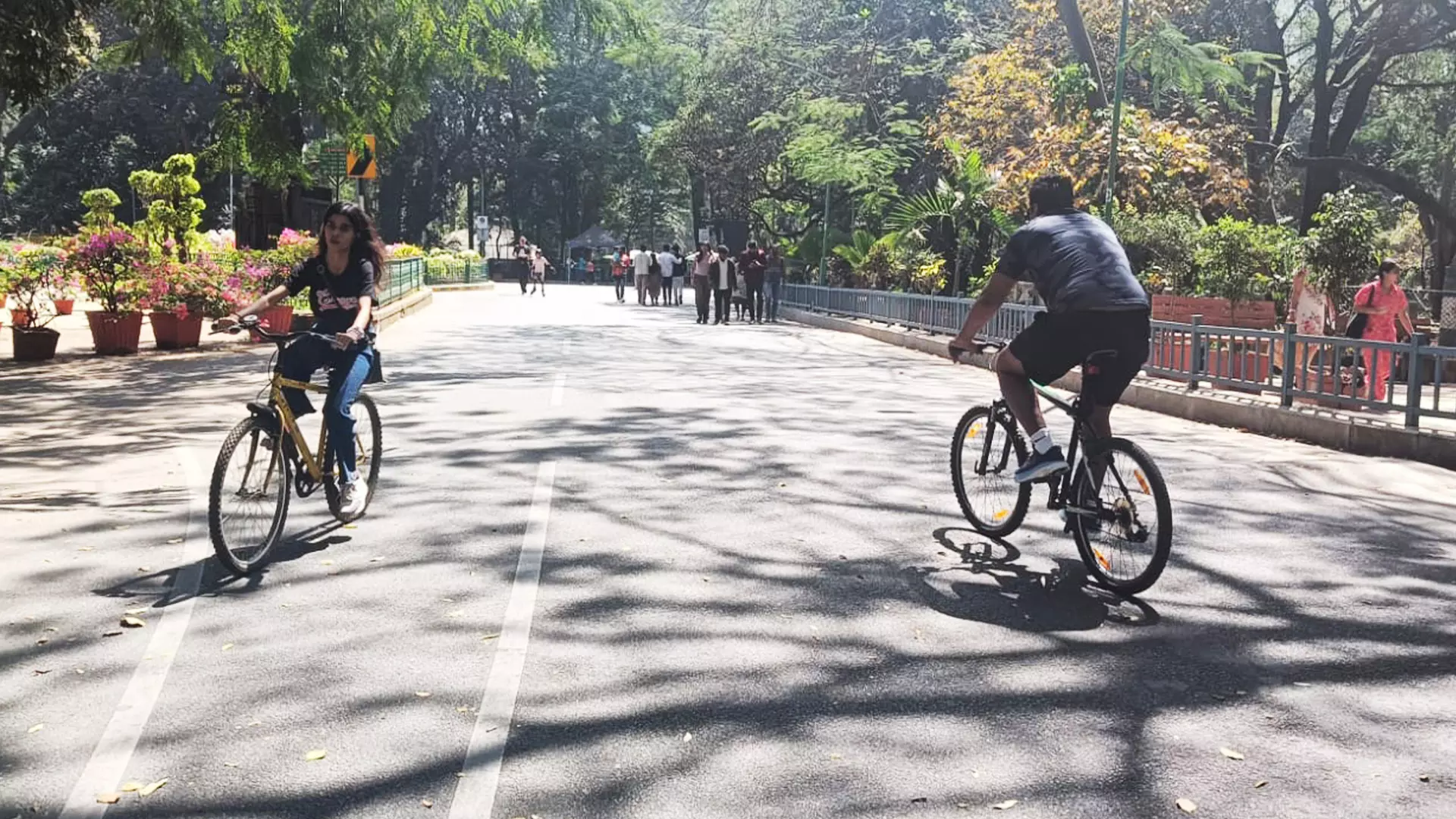 Do you miss cycling on Bengaluru roads? Come to Cubbon Park.