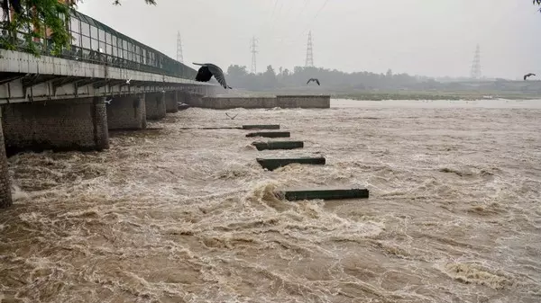 Yamuna, Delhi, IMD, danger mark, rain forecast