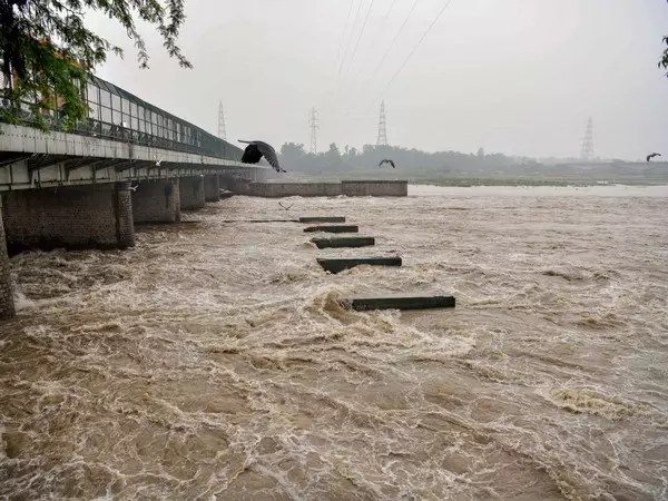 Yamuna, Delhi, IMD, danger mark, rain forecast