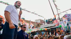 Not inviting Dalits, backwards, Prez to Ayodhya an insult to them: Rahul Gandhi