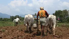 Agriculture, farmers