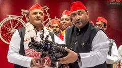 Akhilesh Yadav