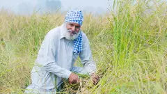 Punjab farmer