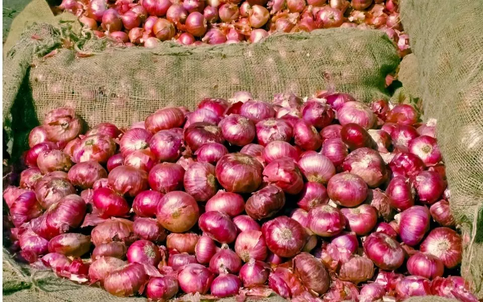 Govt allows onion exports to Bangladesh, Mauritius, Bahrain, Bhutan till March 31