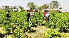 Assams Garukhuti Project: Green shoots creator or white elephant?