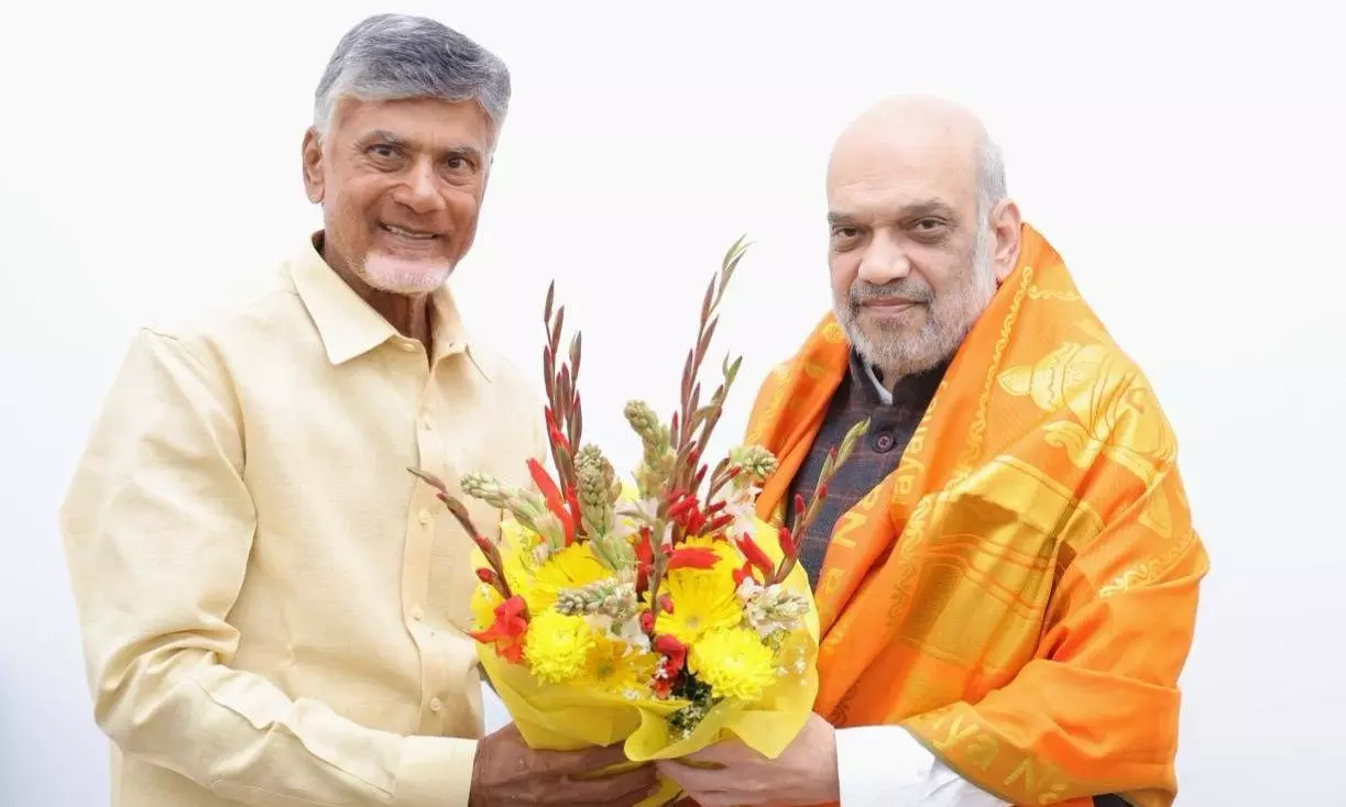 Win-win situation for Andhra: BJP seals seat-sharing deal with TDP, Jana Sena