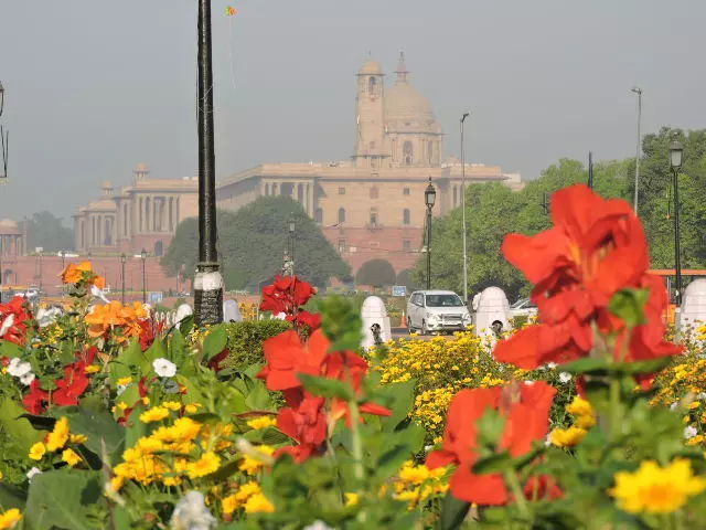 Spring season is gradually disappearing in India, warns study
