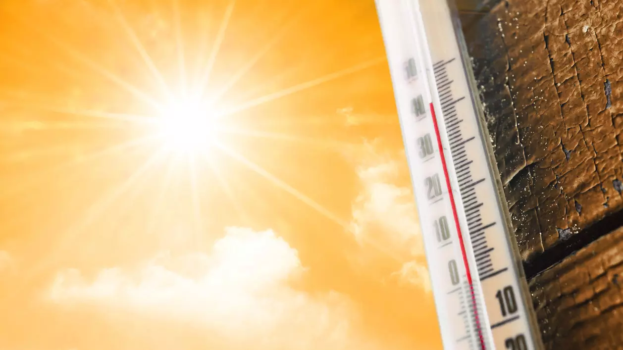 Delhi was sultry on Monday (May 14)