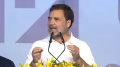 Think, understand, and then make the right decision: Rahul tells people