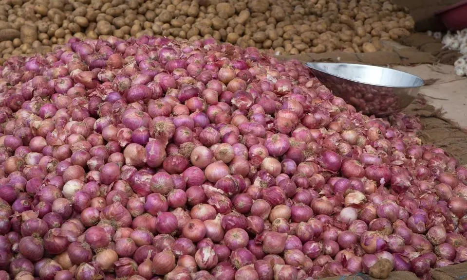 Monsoon vagaries, inconsistent policy behind spike in onion prices