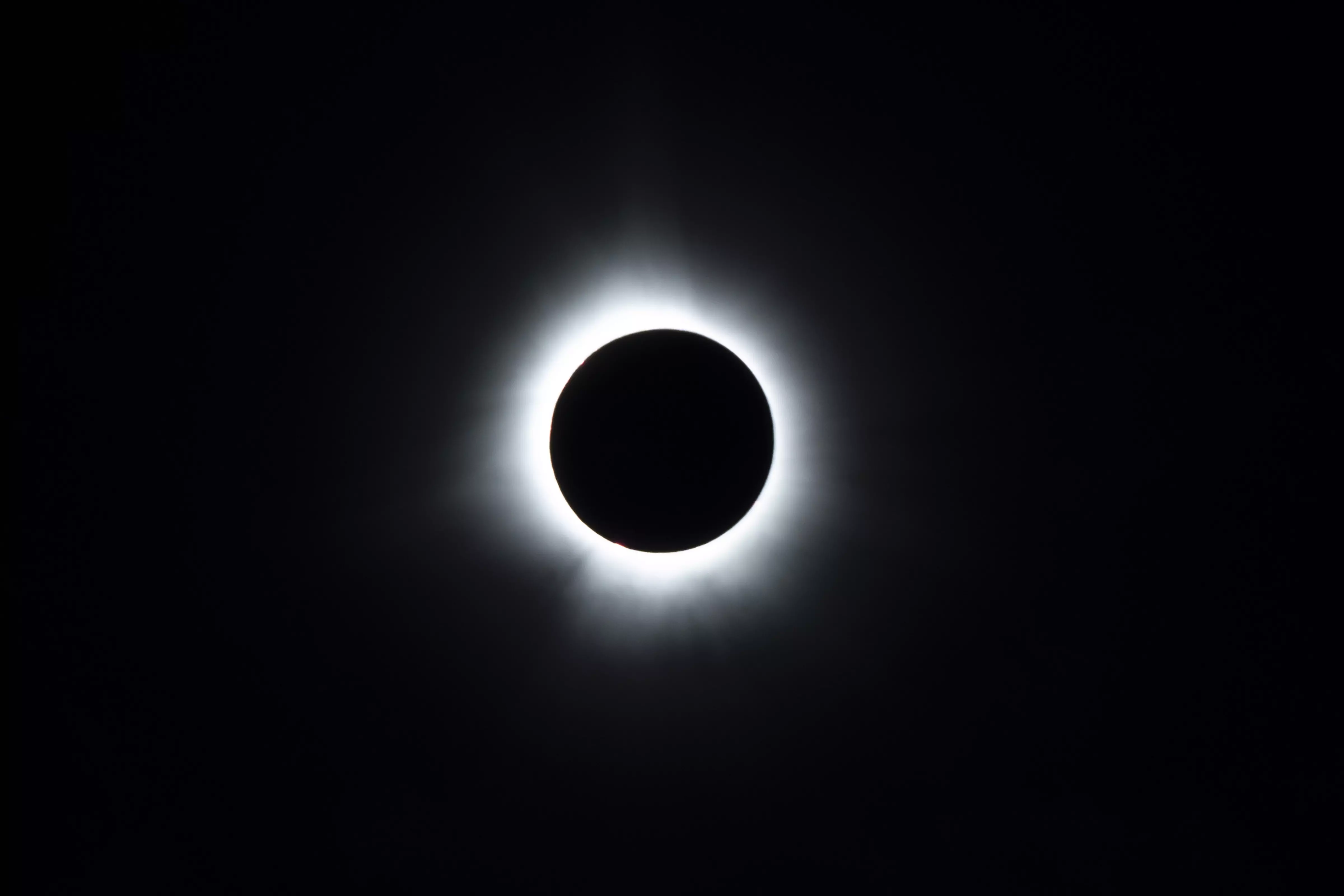 Total solar eclipse triggers unique behaviour among animals