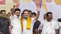 TN: DMK-led alliance heading for clean sweep, leading in all 39 seats