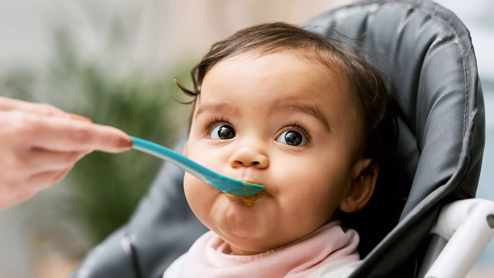 Cerelac controversy: How harmful is added sugar in baby foods for children?