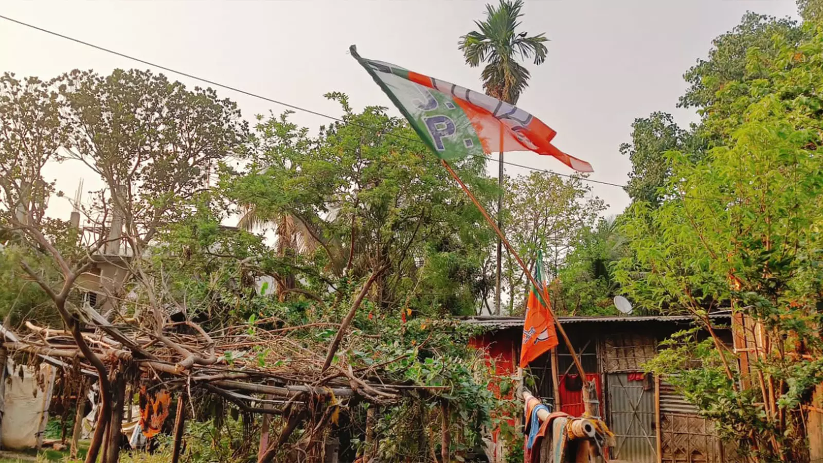 Wind-swept saffron flags of the BJP in Lala Basti.