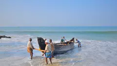 Tides of turmoil: Small fishermen crisis in Diamond Harbour, Sundarbans reverberates in LS polls