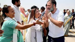 Run Rahul run: BJP reacts as Congress leader fielded from Rae Bareli in LS polls