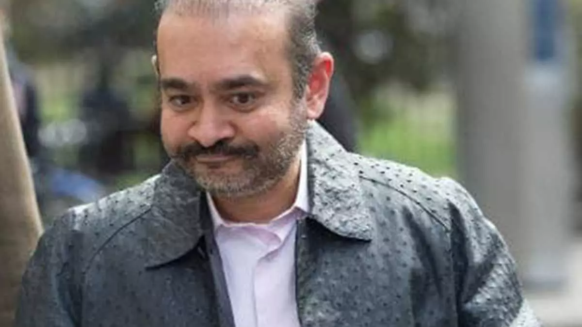 Debt Recovery Tribunal, Punjab National Bank, ₹7,200 crore, prison, Nirav Modi, The Federal, English news website