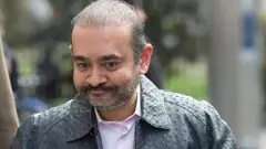 Debt Recovery Tribunal, Punjab National Bank, ₹7,200 crore, prison, Nirav Modi, The Federal, English news website