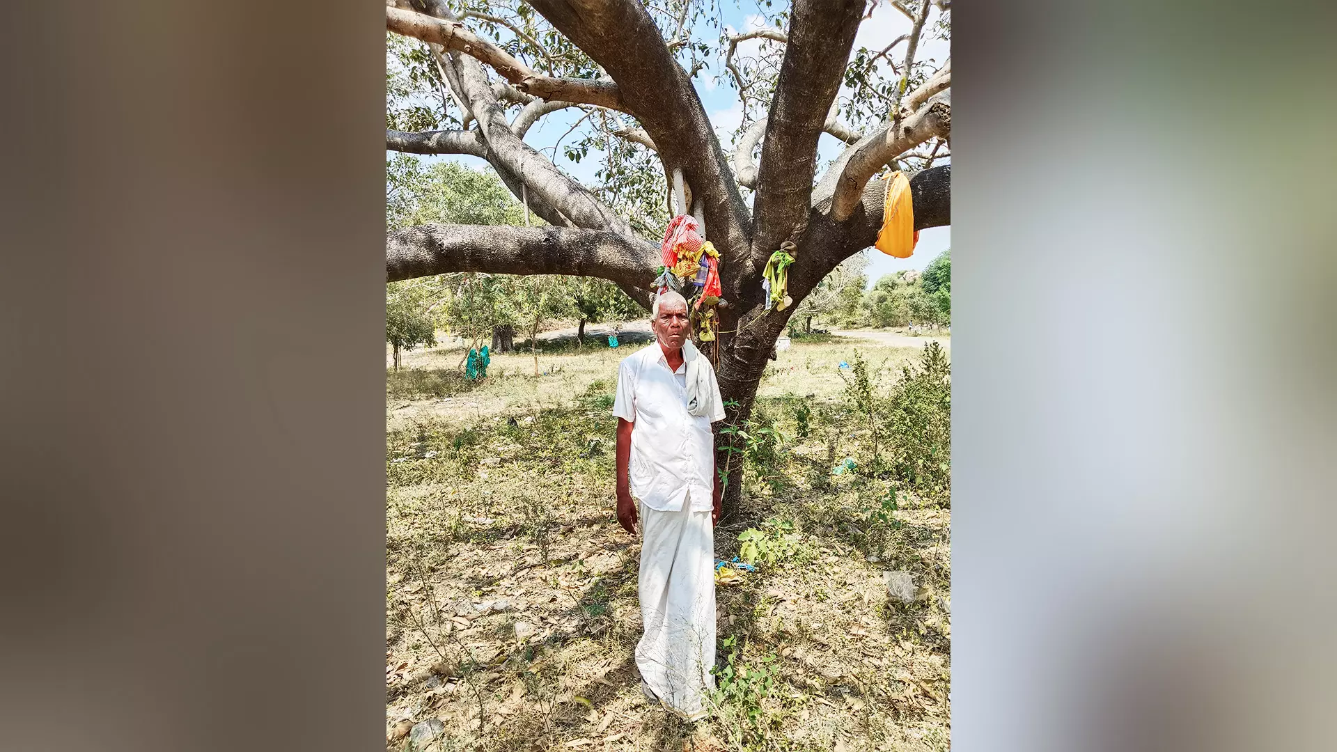 Karuppaiya beneath a tree that he planted four decades ago.
