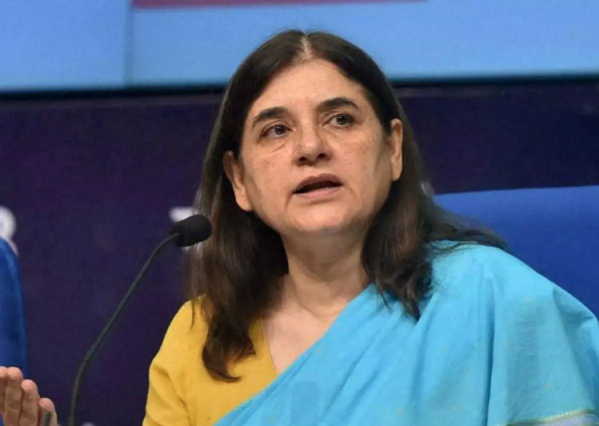 Cant think of other reasons: Maneka Gandhi on if writings critical of govt cost son ticket