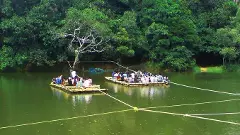 Wayanad animal attacks: Closure of eco-tourism hits local economy hard