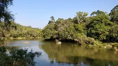 Kerala plans social media campaign, bloggers’ meet to bring tourists back to Wayanad