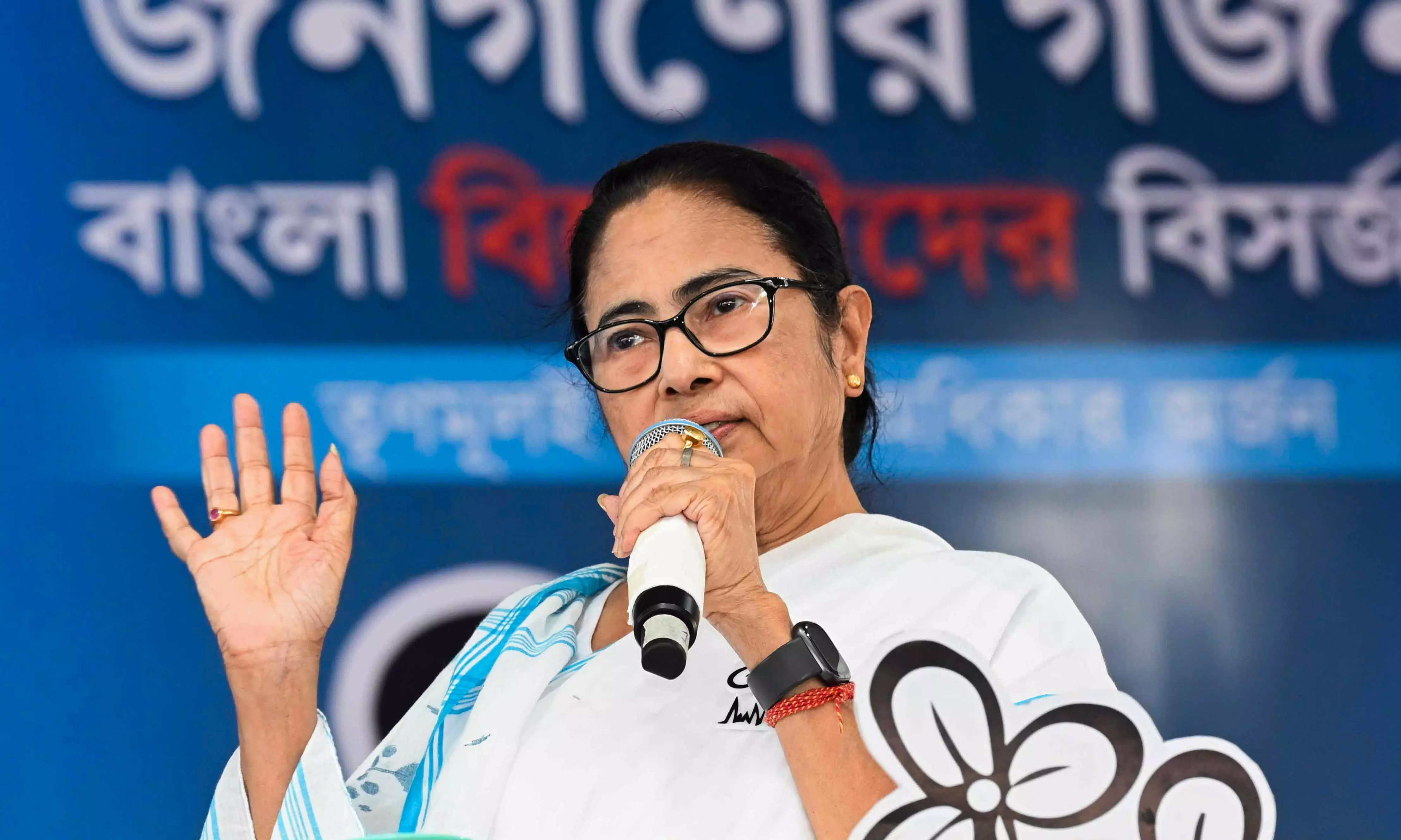 Mamata Banerjee (File Picture)