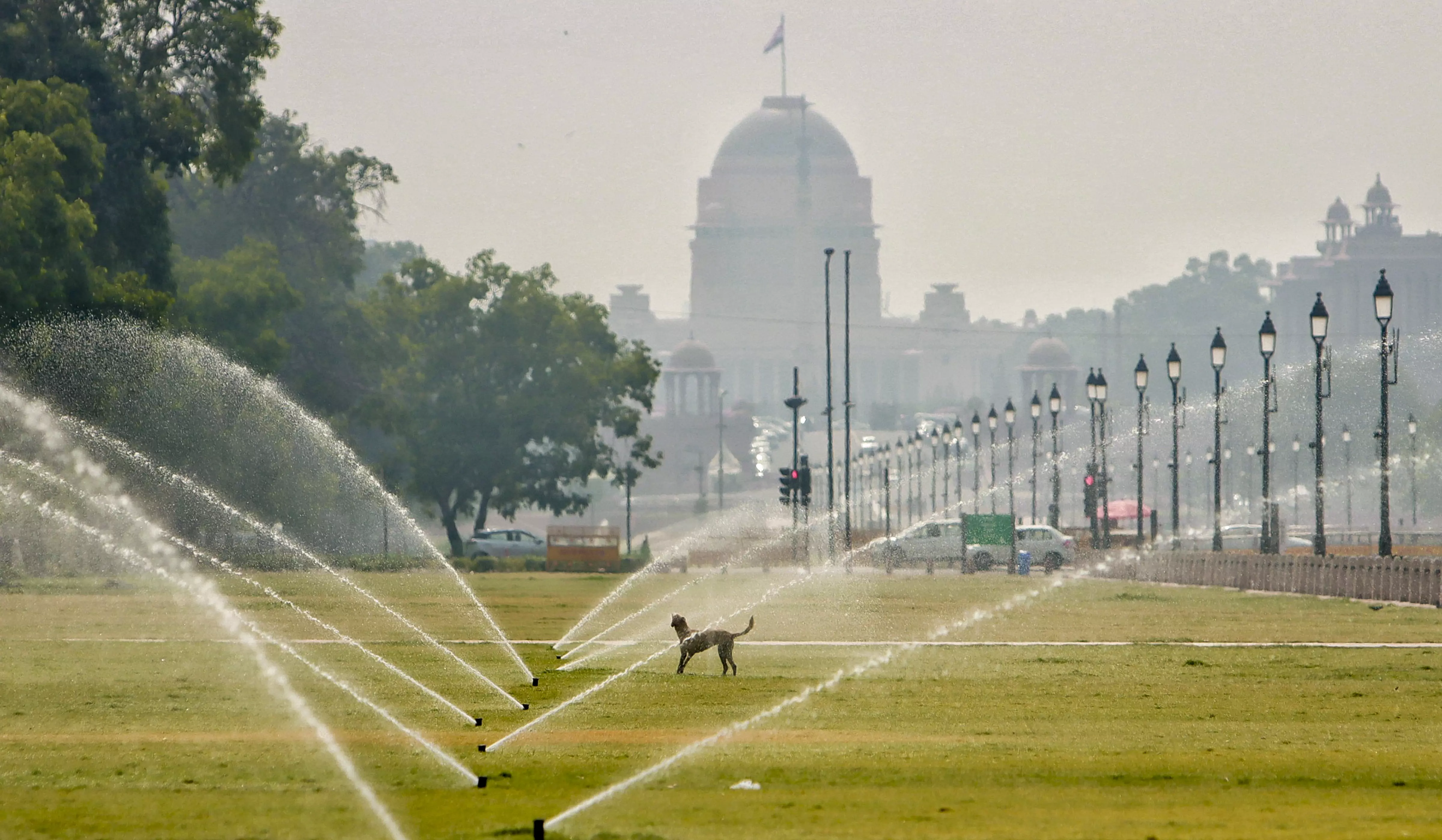 Delhi records hottest day of season at 42.5 deg C, heatwave likely on Saturday