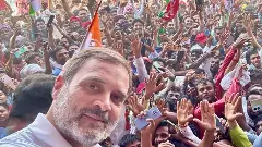 BJP going to win only one seat in UP: Rahul