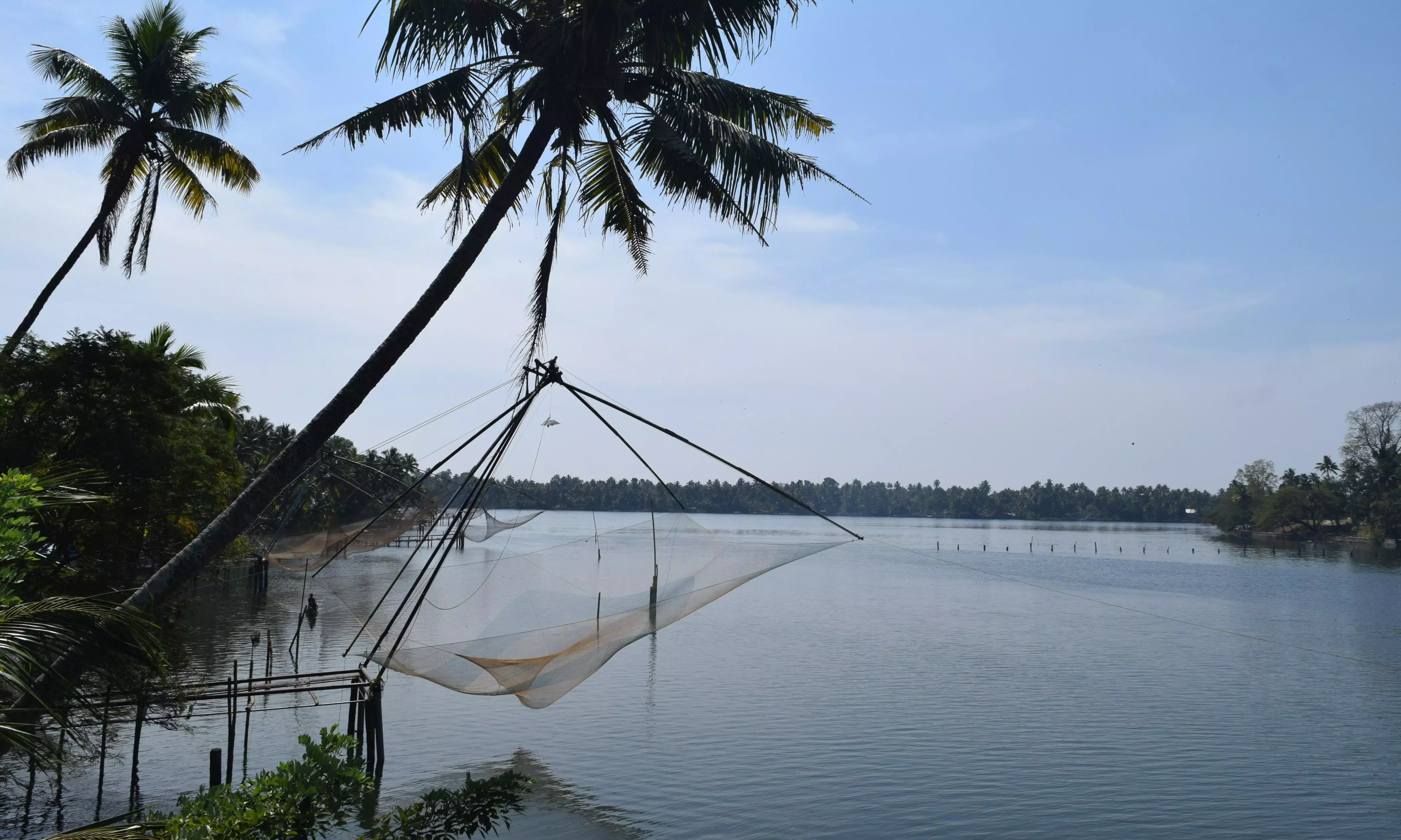 Kerala govt implements measures to prevent recurrence of mass fish death in Periyar